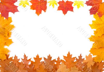 Ornament from autumn leaves