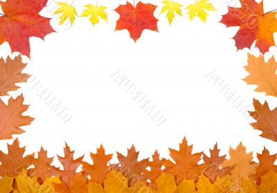 Ornament from autumn leaves