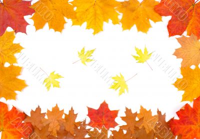 Ornament from autumn leaves
