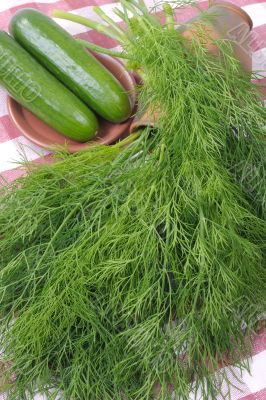 Dill
