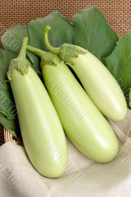 Eggplants.
