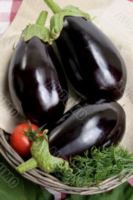 Eggplants.