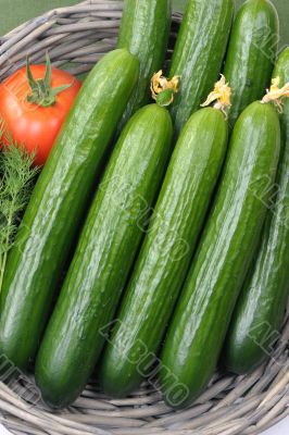 Cucumbers