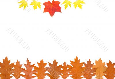 Ornament from autumn leaves