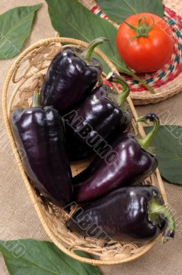 Black sweet pepper