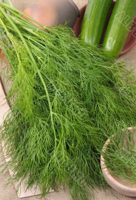 Dill