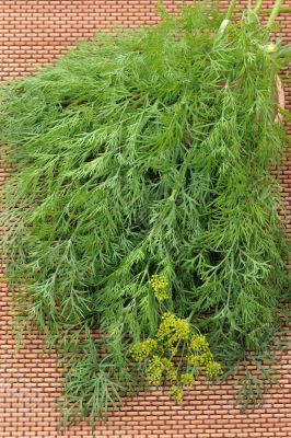 Dill