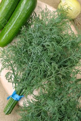 Dill