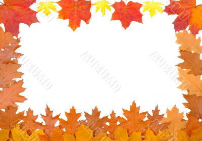 Ornament from autumn leaves
