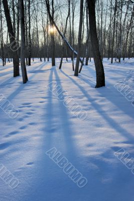 Winter sunset