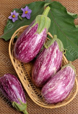 Eggplants.