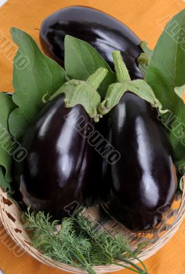 Eggplants.
