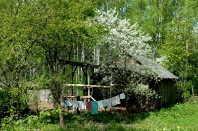 Rural landscape.