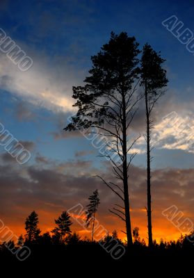sunset with a cloud