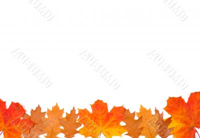 Ornament from autumn leaves