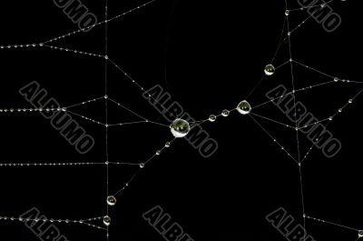 Drops on the web 