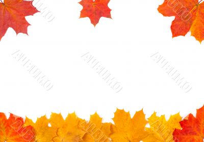 Ornament from autumn leaves