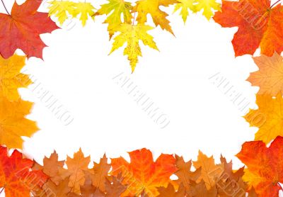 Ornament from autumn leaves