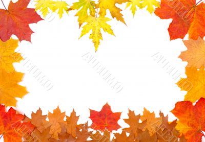 Ornament from autumn leaves
