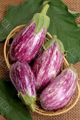 Eggplants.