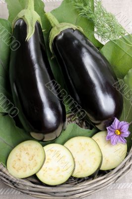 Eggplants.
