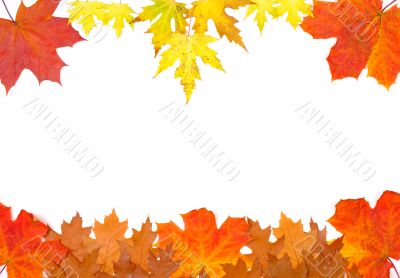 Ornament from autumn leaves