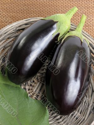 Eggplants.