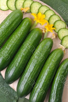 Cucumbers