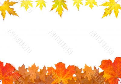 Ornament from autumn leaves