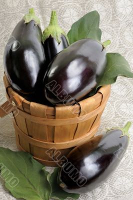 Eggplants.