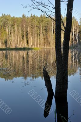 Wood lake
