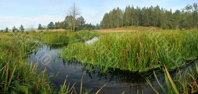 Panorama with a stream.