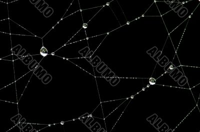 Drops on the web 