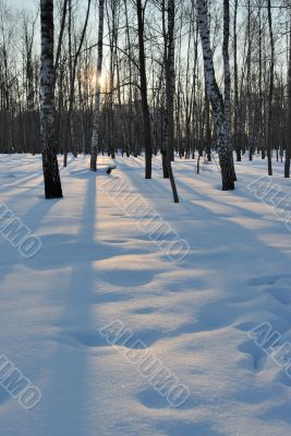 Winter sunset