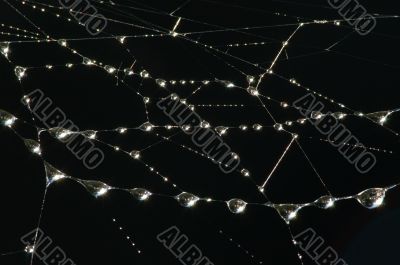 Drops on the web