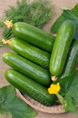 Cucumbers