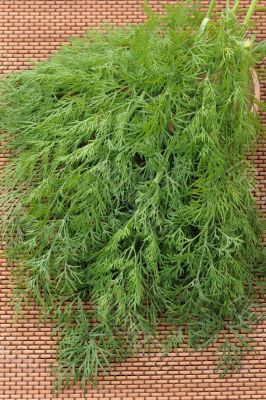 The bunch of Dill