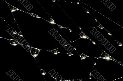Drops on the web