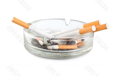 Ashtray isolated