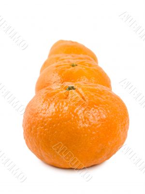 Mandarin isolated on a white