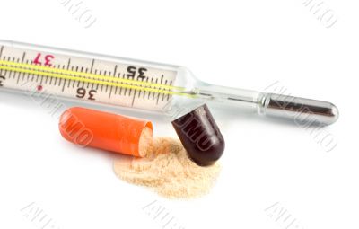 Thermometer