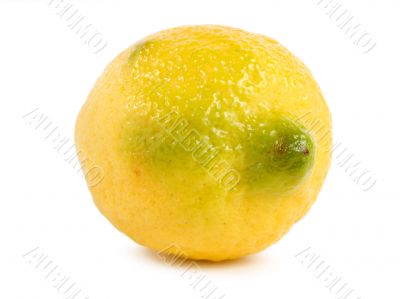 Lemon isolated