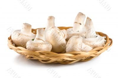 Basket with mushrooms