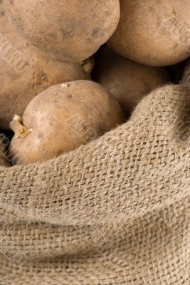 Potatoes in a bag