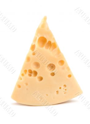Cheese on a white background