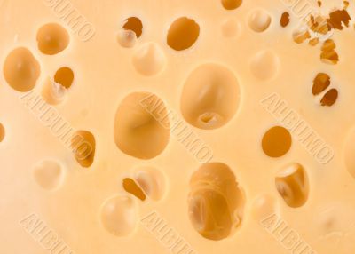 Cheese and holes