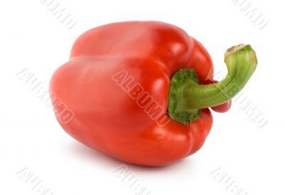 Red pepper isolated