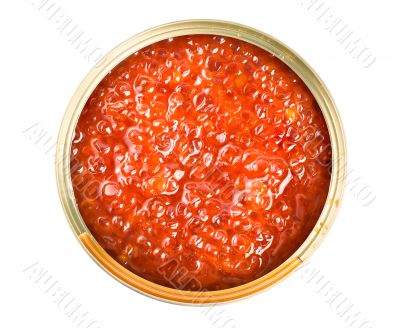 Red caviar in tin
