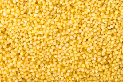 Millet backgrounds