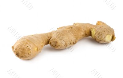 Ginger root isolated
